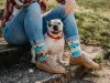 Dogs & Stripes - Socks Good Mood